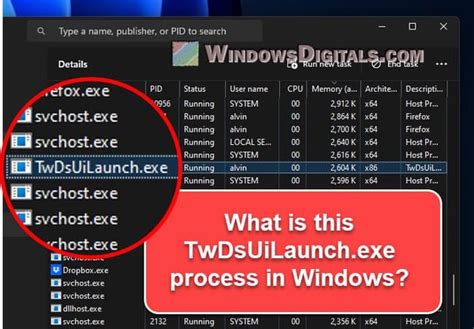 twdsuilaunch|TwDsUiLaunch.exe Windows process